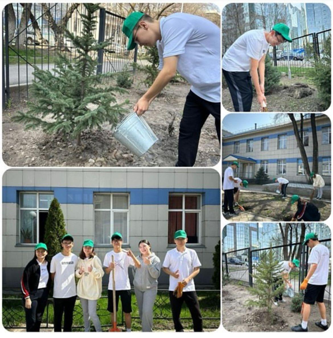 Лицейміздің түлектері экочелленджге ат салысты